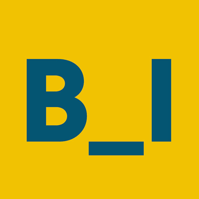 b-i-favicon