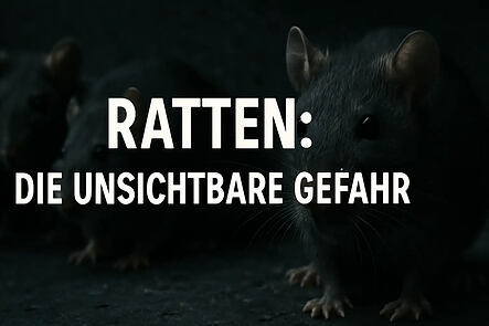 Ratten Die unsichtbare Gefahr 2-1