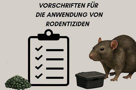 Symbolbild für den Blogbeitrag: Anwendung von Rodentiziden - Vorschriften. Bild einer Ratte mit Rodentiziden und einer Checkliste.