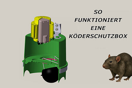 Symbolbild für den Blogbeitrag wie funktionieren Köderschutzboxen mit Querschnittbild einer Köderschutzbox