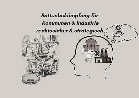 Symbolbild für den Blogbeitrag: Rattenbekämpfung für Kommunen & Industrie: Strategien, Verantwortung und rechtssichere Umsetzung