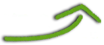 Logo VFöS