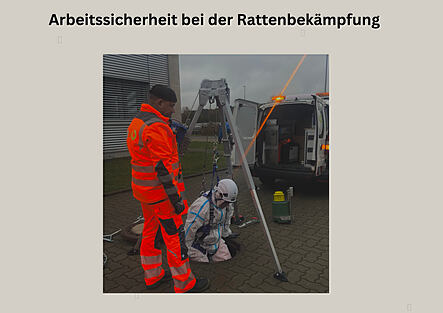 Bild zum Blogbeitrag Arbeitssicherheit bei der Rattenbekämpfung im Kanal